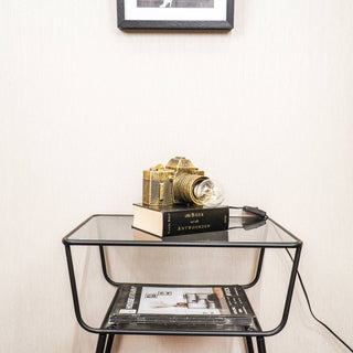 Housevitamin  Camera Lamp Gold -  15x12cm
