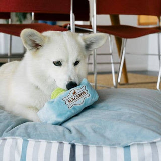 P.L.A.Y. Pup Cup Café Collection: Mutt-a-rons