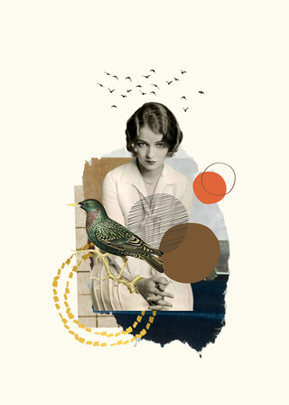 WHERE THE BIRDS GO by Marieke Vennik