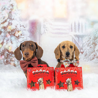 Cranberry & Sweet Potato - Dog Treat Christmas Selection Box