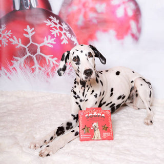 Cranberry & Sweet Potato - Dog Treat Christmas Selection Box