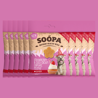 Strawberry & Coco-Cream Cupcake Dog Treats: Single Pack