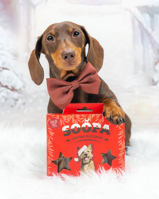 Cranberry & Sweet Potato - Dog Treat Christmas Selection Box