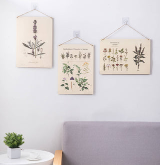 DIY poster kit botanical plants