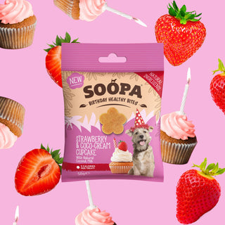Strawberry & Coco-Cream Cupcake Dog Treats: Single Pack