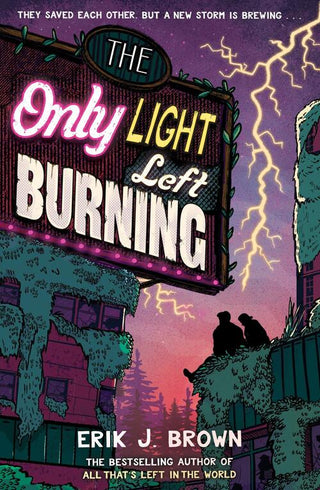 THE ONLY LIGHT LEFT BURNING, E.J. Brown