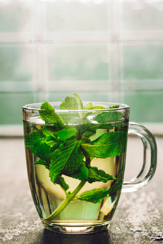 Fresh Mint Tea