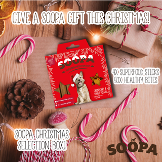 Cranberry & Sweet Potato - Dog Treat Christmas Selection Box