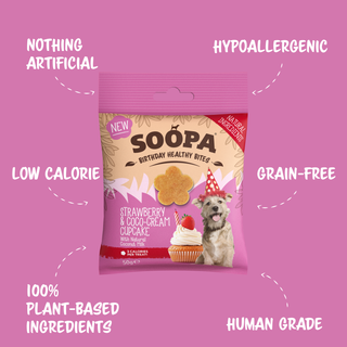 Strawberry & Coco-Cream Cupcake Dog Treats: Single Pack